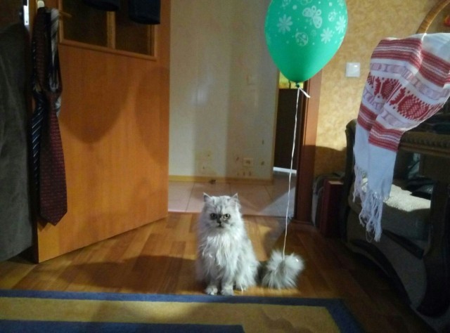 Подборка всякой живности