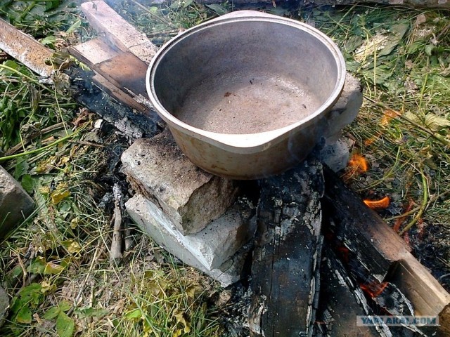 Пловские старания, ... эпическое полотно о Плове...