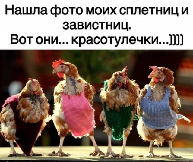 Чуток картинок 18.12.21