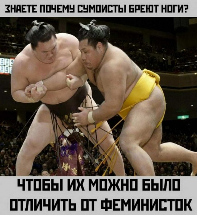 Человек собаке друг и другие картинки под настроение 13.01.2022