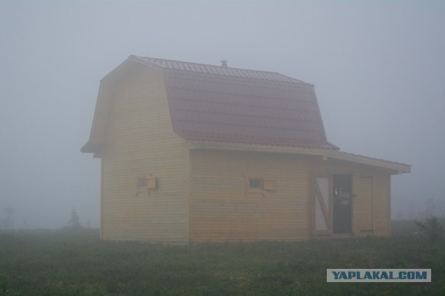 Болваны, я восьмой