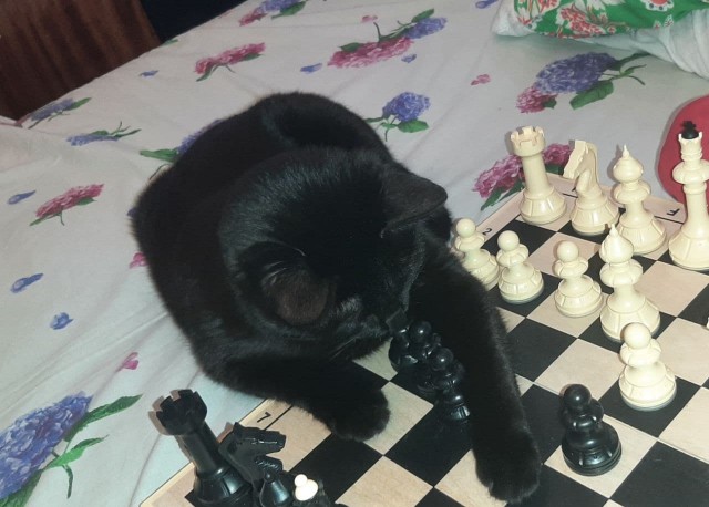 Котовторниковское