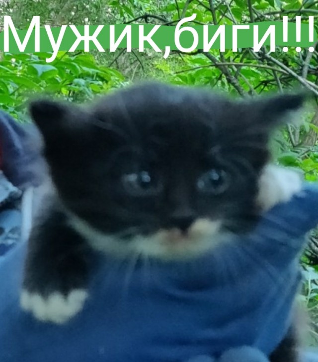 Жительница Москвы заявила в полицию на мужа, который собирался вступить в украинскую армию.