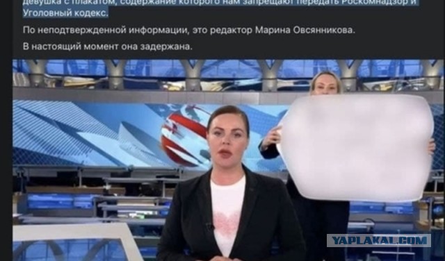 Приговор редактору Овсянниковой