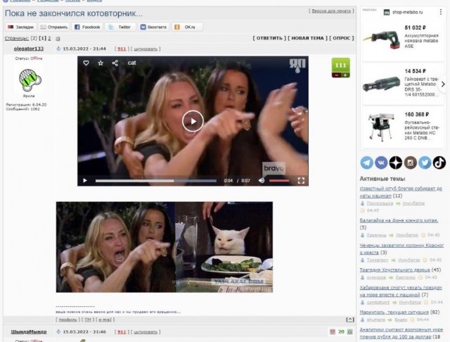 Пока не закончился котовторник...