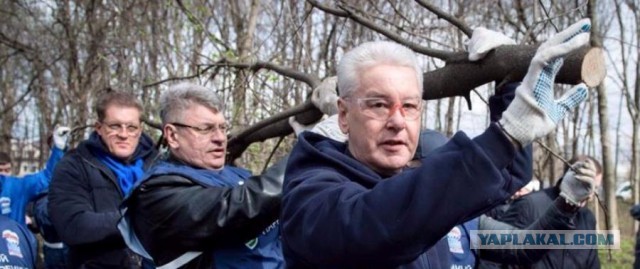 Настоящие женщины