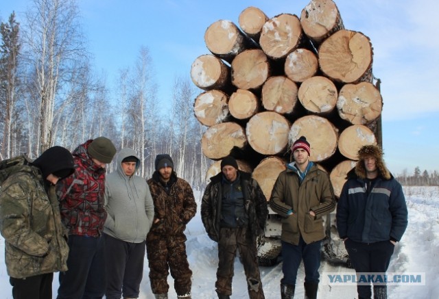 Фальшивая история человечества.