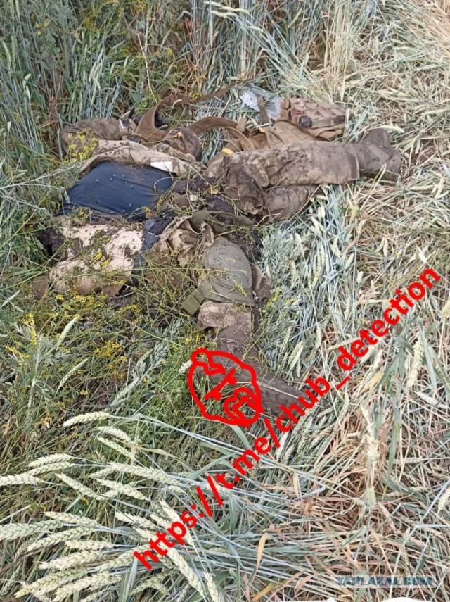 На Змеином опять что то намечается