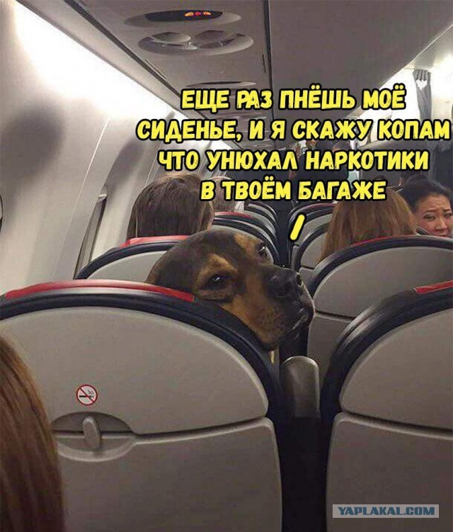 Он просто играет...