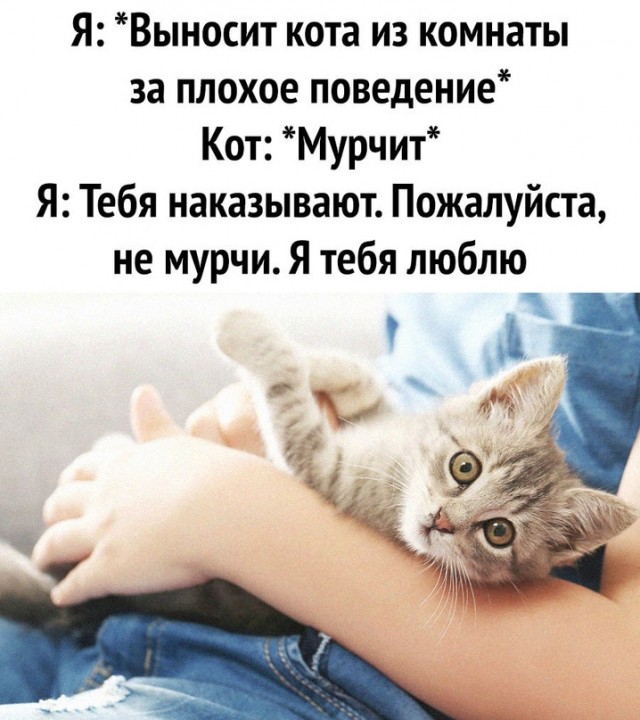 Картинки и мемы для настроения - 11