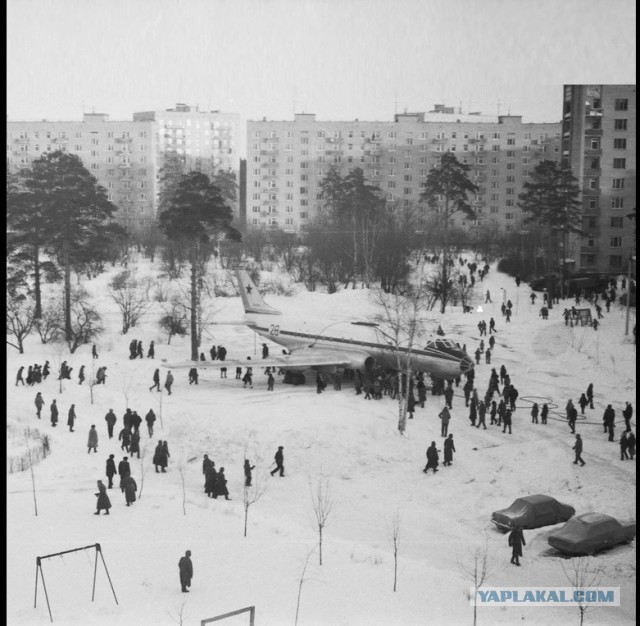 Несколько исторических фото в хаотичном порядке и разной степени баяности - 2