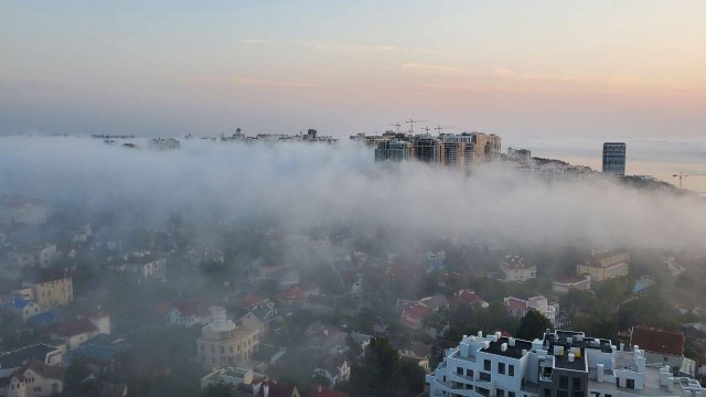Пандемия съехавших крыш - разновидности болезни. Россия и мир. Часть 40.