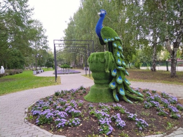 Лицемерные женщины
