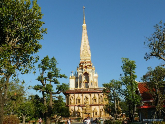 Немного Тая