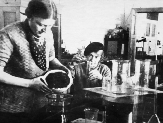 Спасти Ленинград от эпидемии. История блокадного витаминного коктейля
