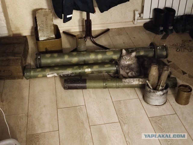 Ушел от жены. Измены. Взгляд любящего мужчины