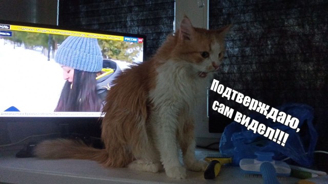 Стало известно, как брак влияет на продолжительность жизни мужчины в России