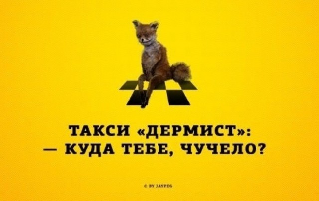 Чёрно-пошлая деградация