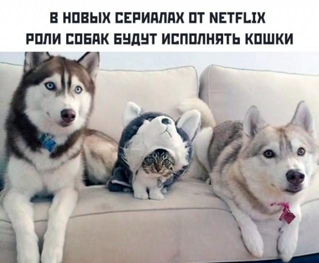 Немного картинок для настроения - 155