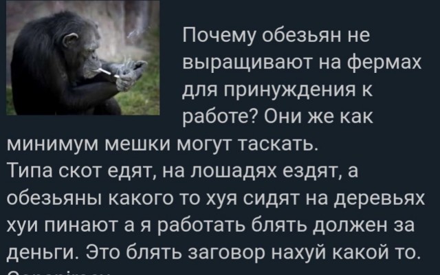 Фитнес