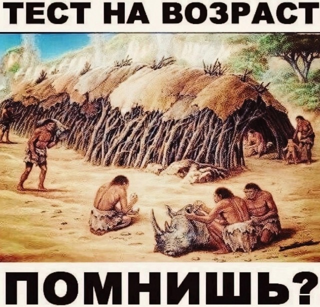 Так себе картинки 03.10.23