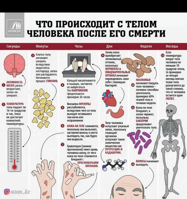 "Ты узнаешь ее из тысячи" Как распознать лесбиянку