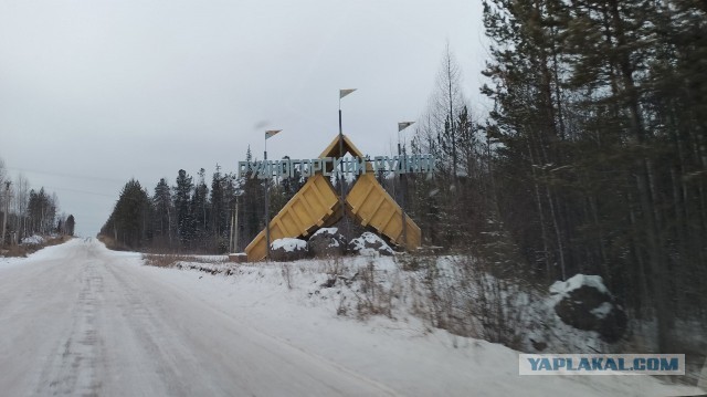 Самая последняя в галерее