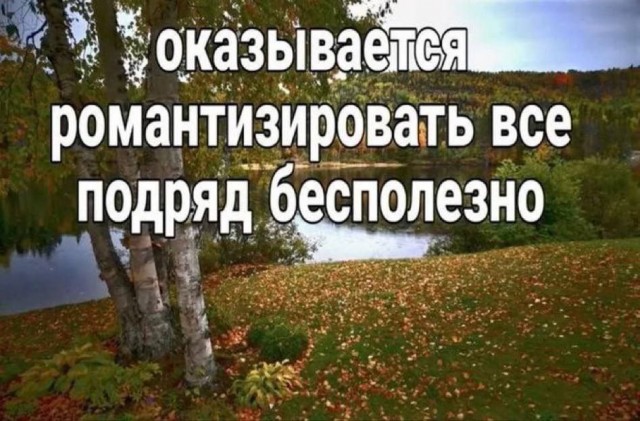 Всего понемногу. От 24.02.24