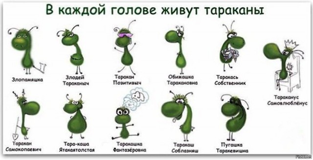 Квадроберы. Инсайд