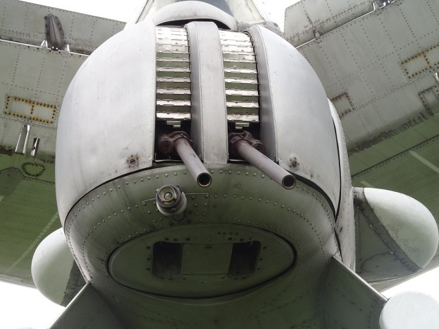 19623685.jpg