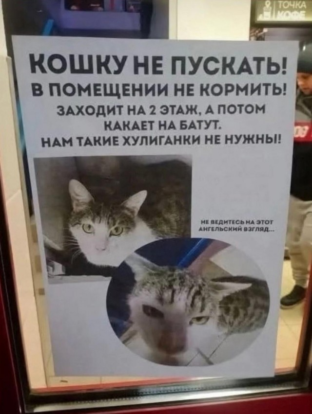 Веселые картинки в маленькую пятницу (12.03)