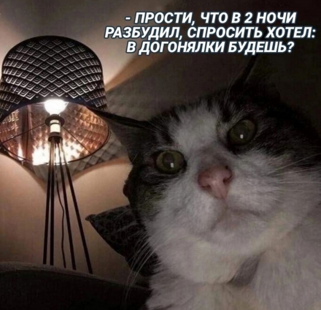 Весёлый полтишок 25.03.25