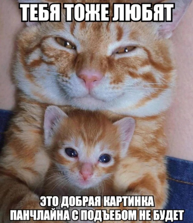 Гнездо параноика (Бояны)