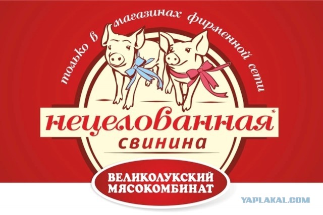 В Грозном построят аналог Бурдж Халифы — 400-метровый небоскрёб «Ахмат Тауэр»