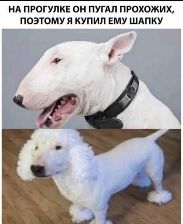 Завалялось тут случайно немного забавных картинок