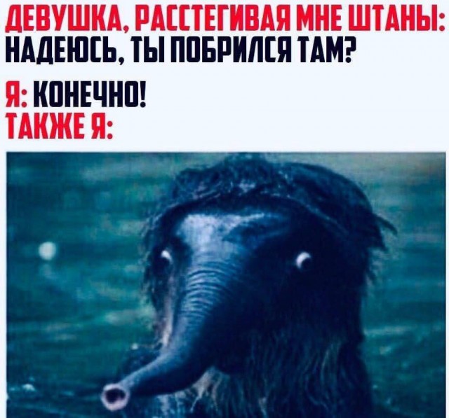 Так себе картинки 13.08.25
