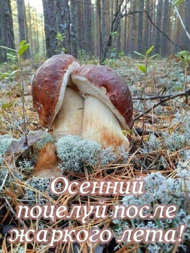 Так себе картинки 13.09.25