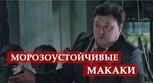 За орехами