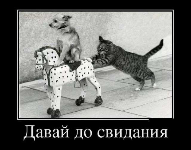 В Госдуме заявили о рисках утечки персональных данных россиян из-за новых способов авторизации в WhatsApp*