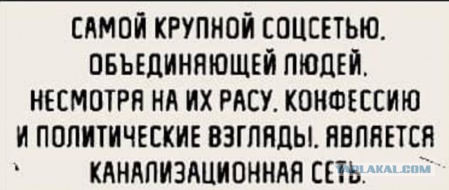 Картинки всякие разные невпопад 1.1