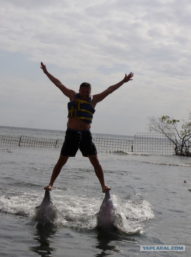 Куба прощается со своими героями, погибшими в Венесуэле