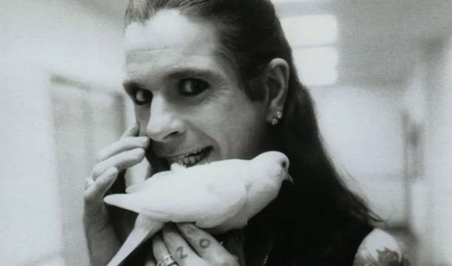 Как же озвучить, непонятно. Отдыхаю