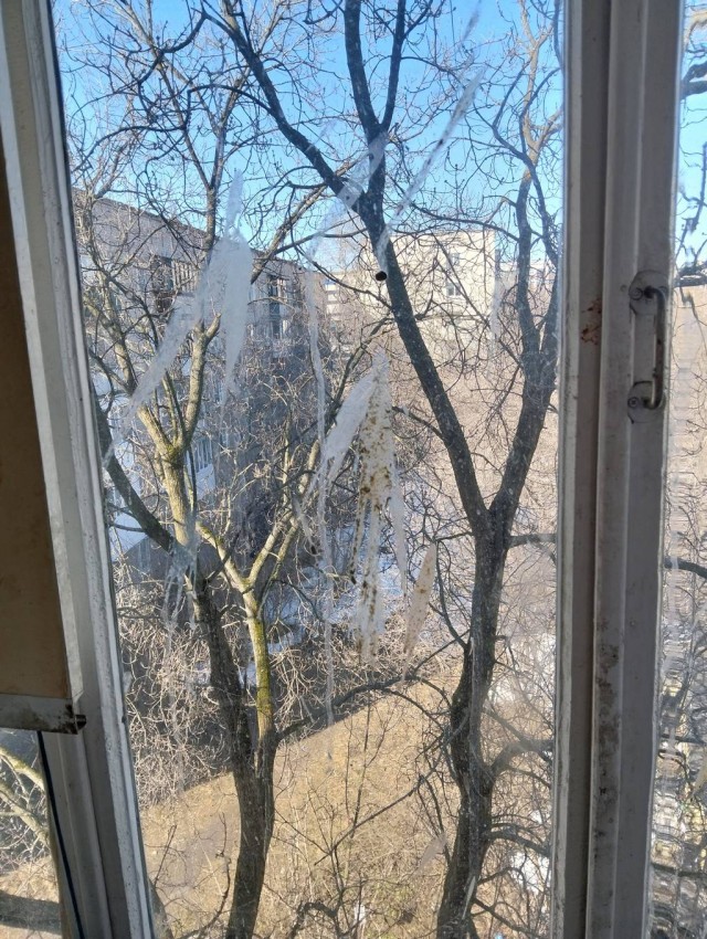 Как отвадить (кормёжка голубей).