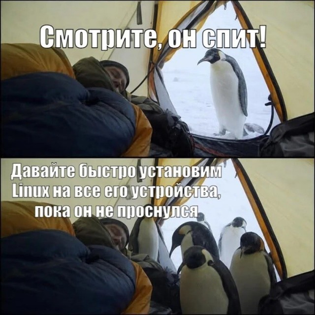 Так себе картинки 07.09.26