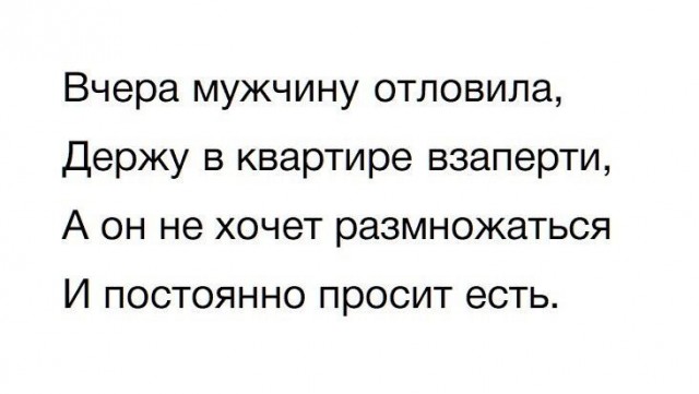 72% москвичек готовы содержать мужчину, — исследование