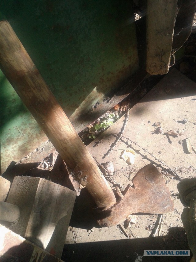 Пить или не пить. Вот в чем вопрос.