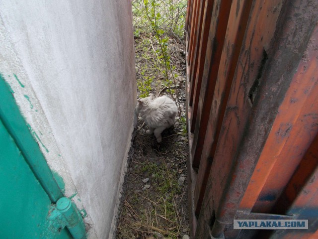 Как я в горы ходил