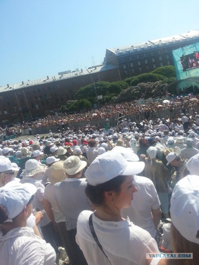 Упало ружжо