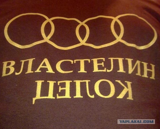 Кунг-фу в стиле...