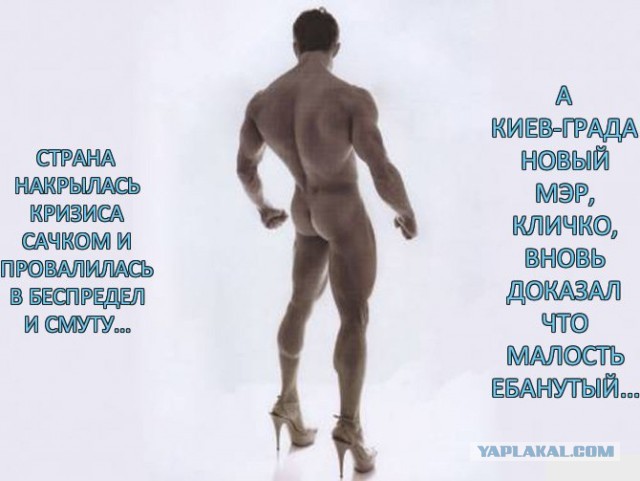 В.Кличко на субботнике